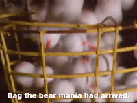 season 1 GIF