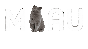 Cats Kittens Sticker