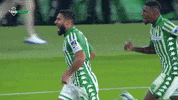 Real Betis GIF by Real Betis Balompié