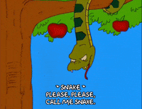 homer simpson GIF