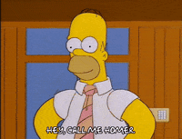 homer simpson GIF