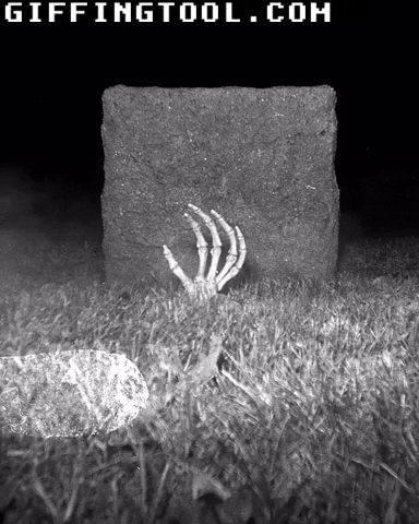 giphyupload GIF