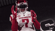 College Football GIF by Arkansas Razorbacks