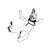 SkyGoons falling skydiving skydiver skygoon Sticker