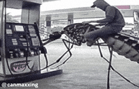 Gas Station Bug GIF