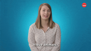 I Love Animals
