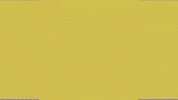 Art Video GIF by jorgemariozuleta