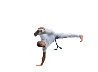 Beija Flor Oxossi Sticker by Capoeira Oxóssi London