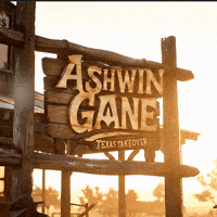 Concert Texas GIF by Ashwin Gane