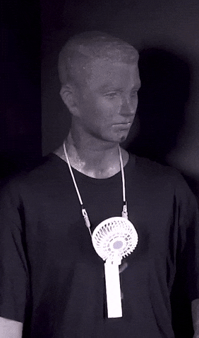 Insight_video giphyupload GIF