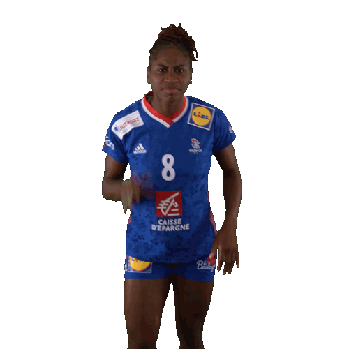 Ffhandball Sticker by Fédération Française de Handball