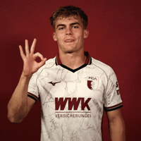 Bundesliga GIF by FC Augsburg 1907