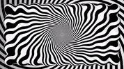 Graphics Visuals GIF by OpticalArtInc.
