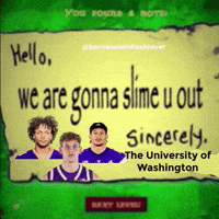 Uw Huskies GIF