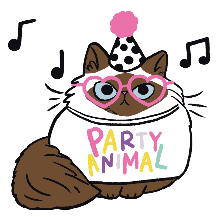 cat party Sticker by meowbox