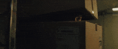 Lucy Liu Vibes GIF by The Avenue Film
