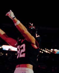 Scott Stadium Uva GIF by Virginia Athletics