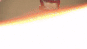 Celebration Goal GIF by FC Red Bull Salzburg