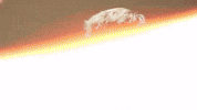 Celebration Goal GIF by FC Red Bull Salzburg