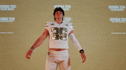 Georgia Tech Football Sport GIF by Georgia Tech Yellow Jackets