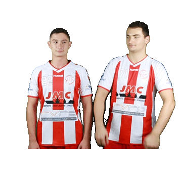 Hand Reds Sticker by Montfermeil Handball
