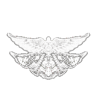 Christmas Star Sticker