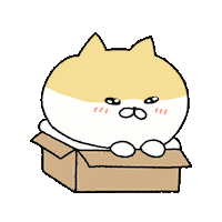 Happy Funny Cat Sticker