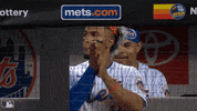 Major League Baseball Applause GIF by MLB
