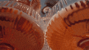 Cocktail Bourbon GIF by Angel's Envy