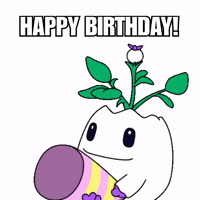 Happy Birthday GIF by Magic Eden