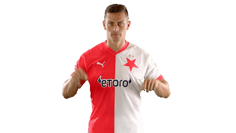 Football Soccer Sticker by SK Slavia Praha