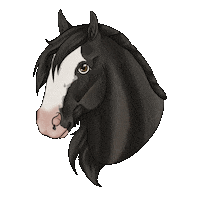 Horse Irish Sticker