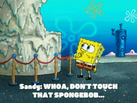 season 5 GIF by SpongeBob SquarePants