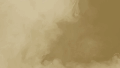 bearcats GIF