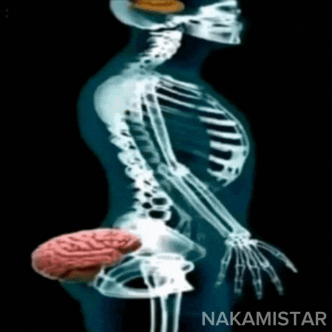 Brain Fool GIF