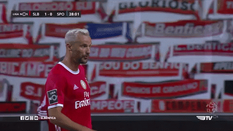 Sl Benfica Hug GIF by Sport Lisboa e Benfica