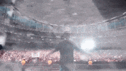 show respeite GIF by Harmonia do Samba