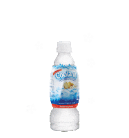 EnesisGroup hot cool ice lychee Sticker