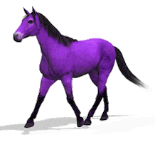 Horse Pule Sticker