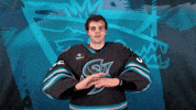 San Jose Hockey GIF by San Jose Barracuda