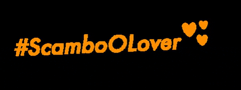 MarketingScamboO giphygifmaker bolsas calcados scamboogoiania GIF