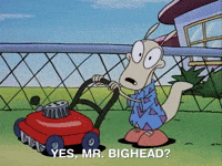 Rockos Modern Life Nicksplat GIF by NickRewind