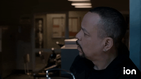 Law And Order Svu GIF by ION