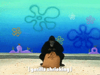 season 3 GIF by SpongeBob SquarePants