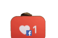 creator masterclass dubai Sticker by Facebook Dubai