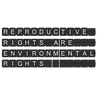 Voting Rights Justice Sticker by INTO ACTION