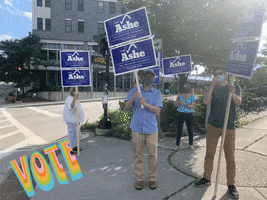 Vote Election GIF by TimAsheVT