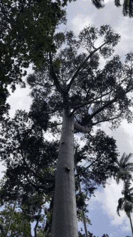 catherinetoth giphyupload GIF