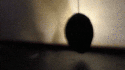 GIF by Carl Knickerbocker