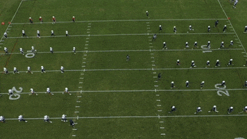 GIF by Miami RedHawks Football